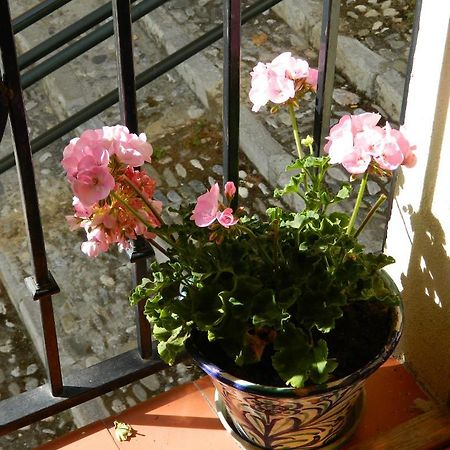 Escapadas Romanticas En Granada Jacuzzi 外观 照片