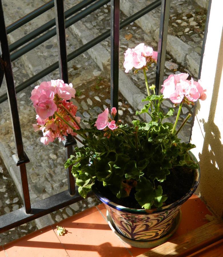 Escapadas Romanticas En Granada Jacuzzi 外观 照片